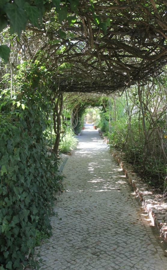 Canavial Garden (Adults Only) Lagos Exterior photo
